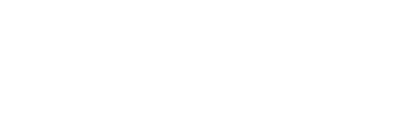 BORGES PPF & DETAILING